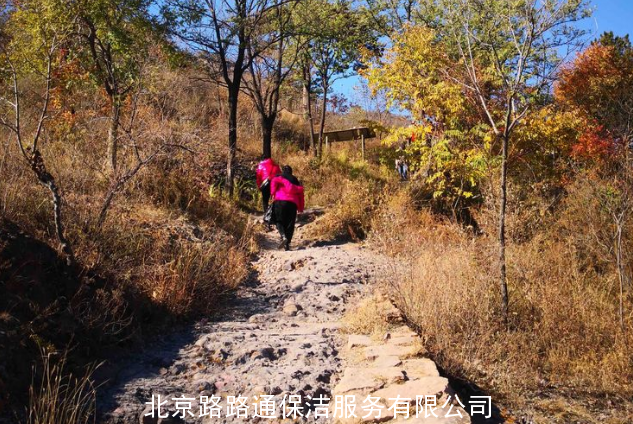 北京路路通保洁服务有限公司组织员工郊游活动(图18)