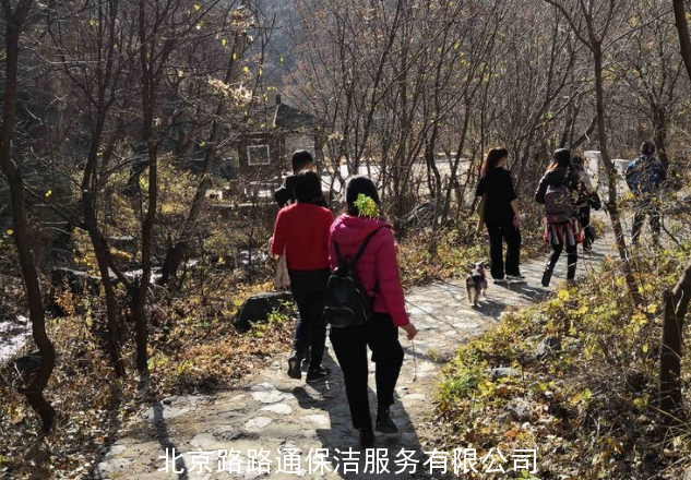 北京路路通保洁服务有限公司组织员工郊游活动(图22)