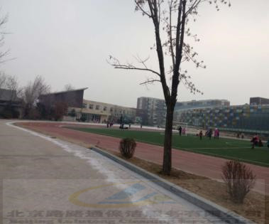 国际学校(图4)