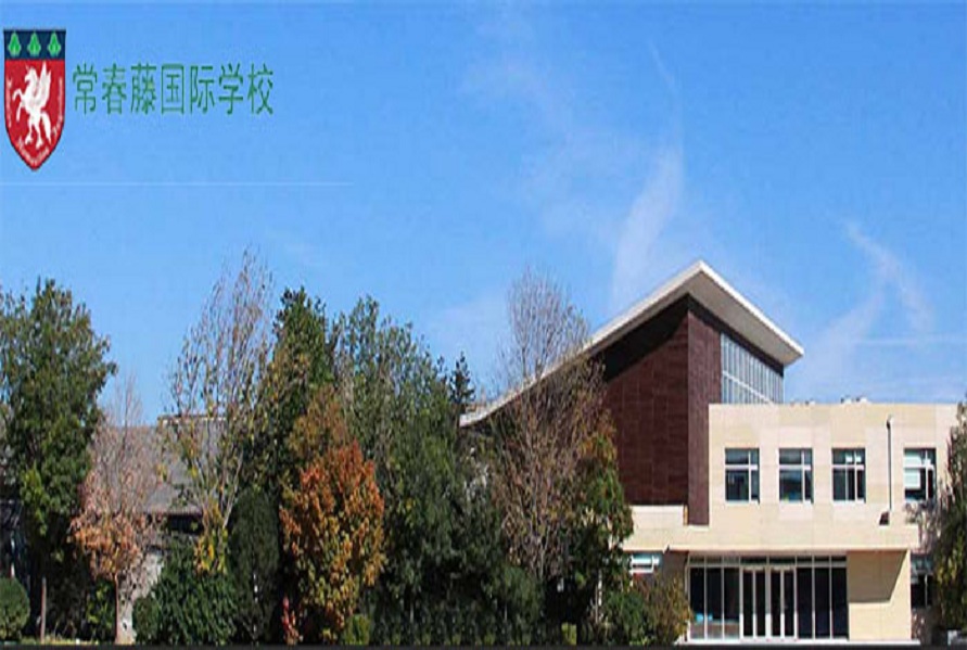 国际学校(图1)